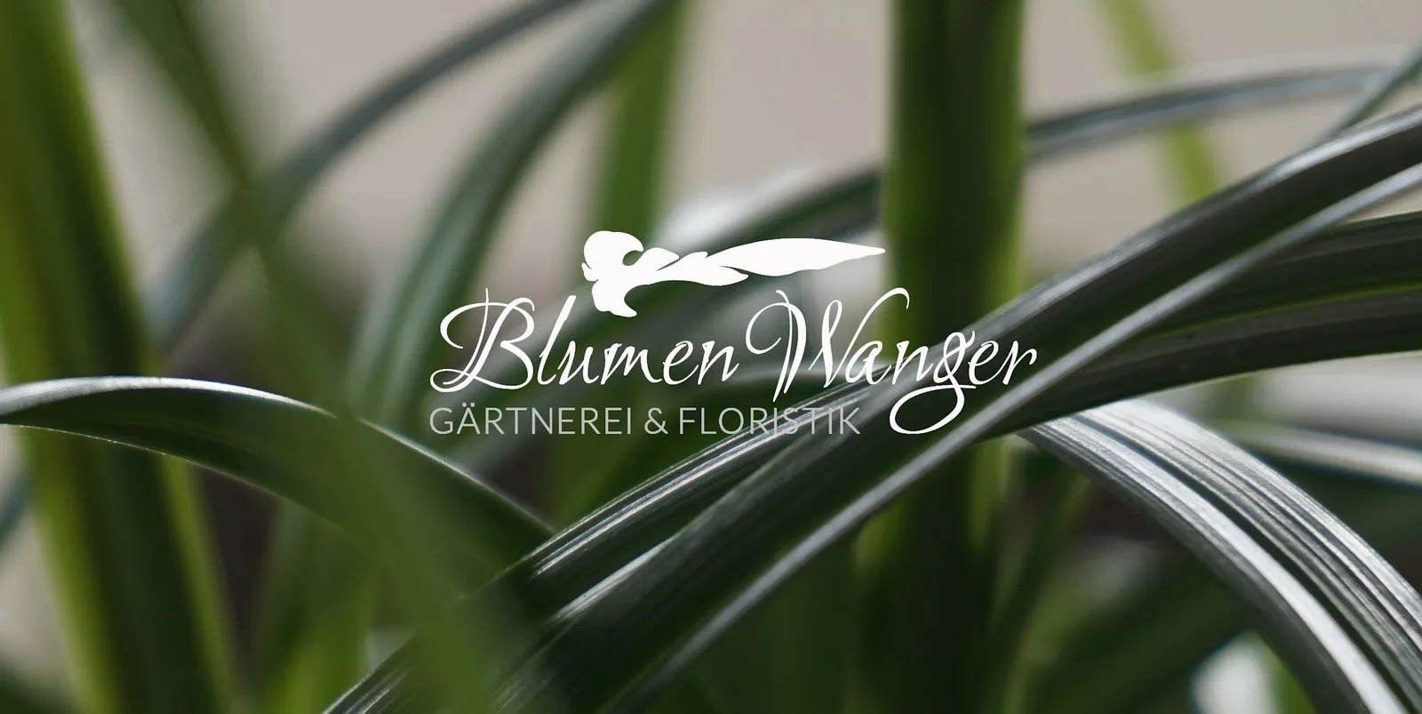 Blattmotiv mit vollständiger Wortmarke Blumen Wanger