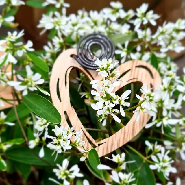 Florales Herzarrangement von Blumen Wanger