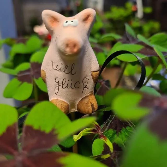 Glücksfigur zwischen grünen Pflanzen